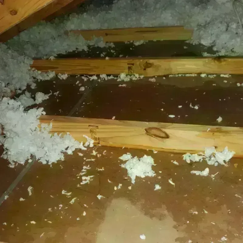 Attic Water Damage in Hermiston, OR