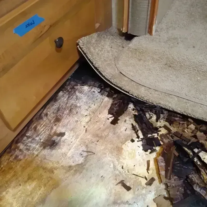 Best Wood Floor Water Damage Service in Hermiston, OR